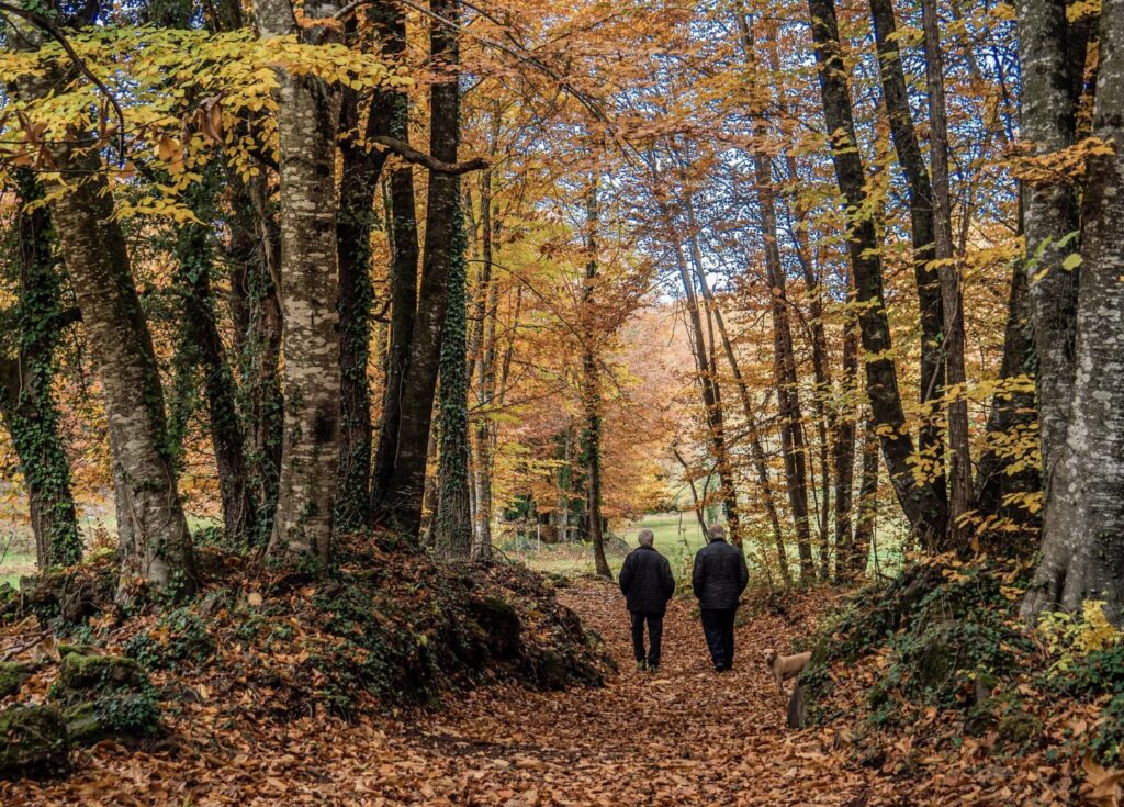 La Garrotxa, tu escapada entre volcanes