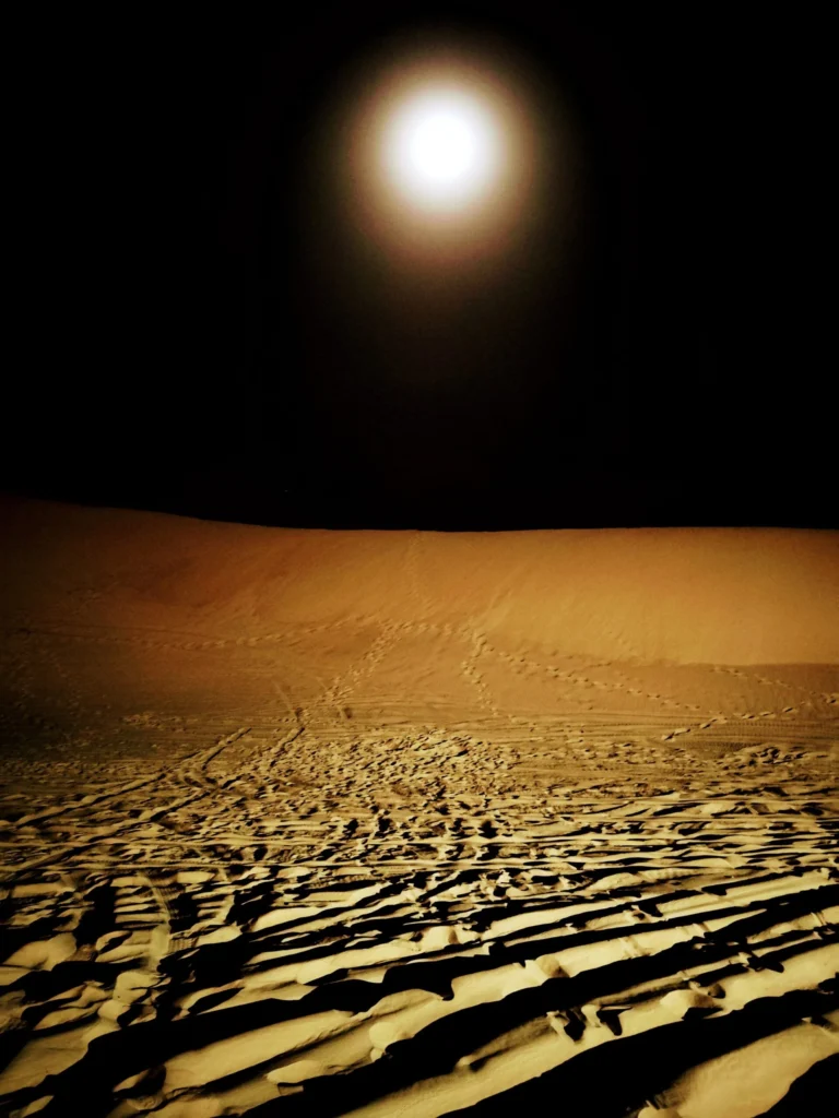 Argelia mágica, de las Costas al Desierto